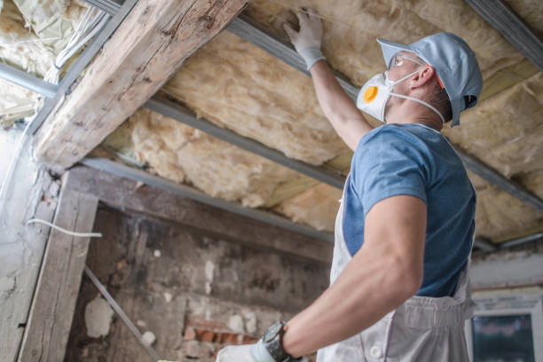 Best Cellulose Insulation in Sturgeon, PA