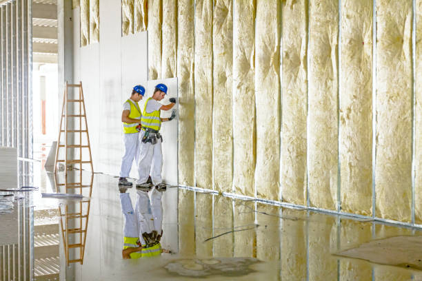 Best Spray Foam Insulation in Sturgeon, PA